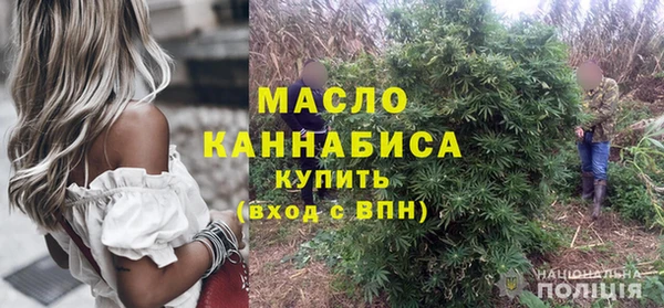 хмурый Аркадак